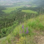 IMG_9354