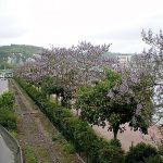 8-via-etretat-0747