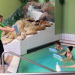 badewoche-fuessing-2017-65-800x600